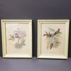 Vintage 2pc Framed John Gould Hummingbird Art prints
